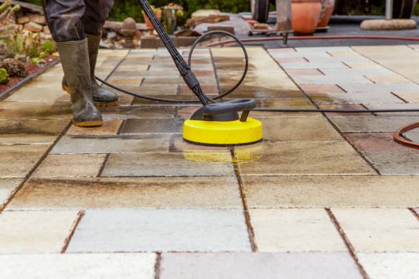Best Solar Panel Cleaning  in Nellysford, VA
