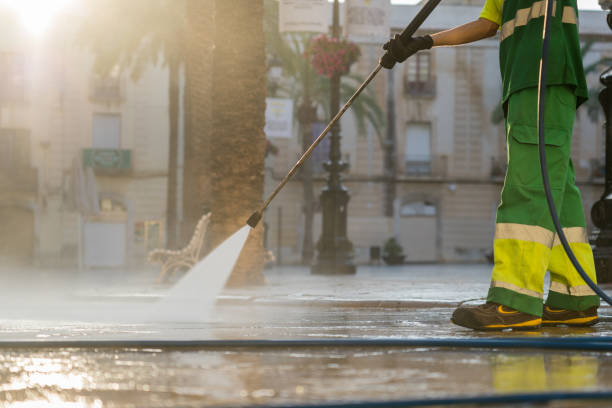Best Warehouse Cleaning  in Nellysford, VA